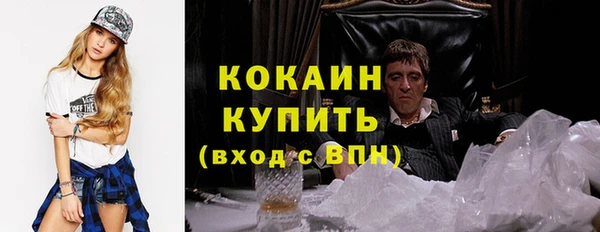 ГАЛЛЮЦИНОГЕННЫЕ ГРИБЫ Бородино