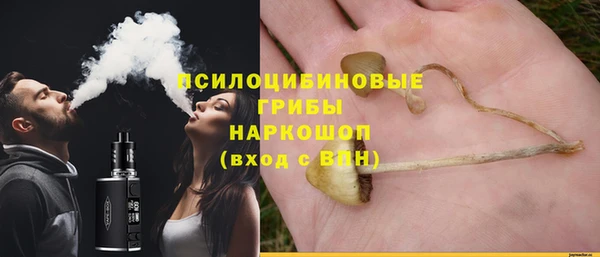 стафф Белокуриха