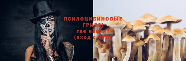 ГАЛЛЮЦИНОГЕННЫЕ ГРИБЫ Бородино