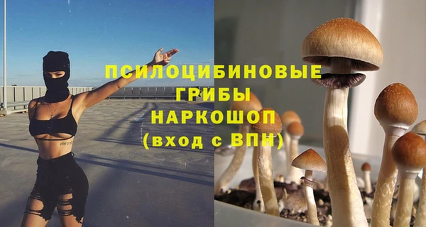 шишки Белоозёрский